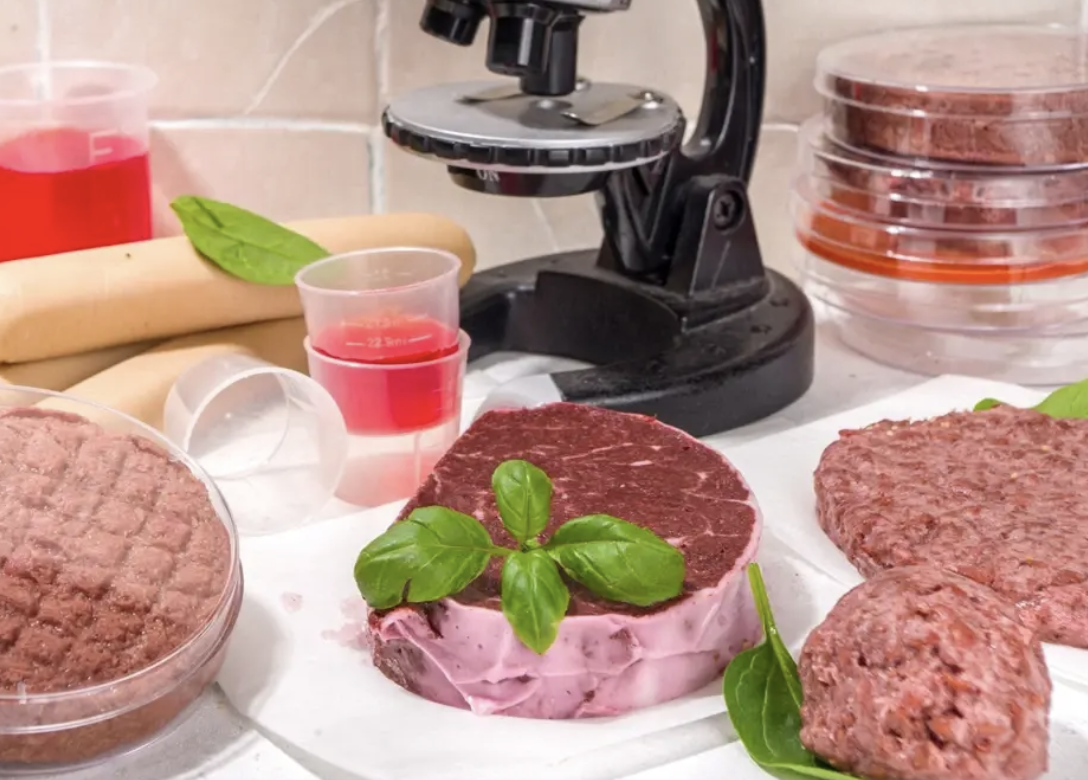 真菌蛋白成未來飲食新星　泰國推動在地菇類升級