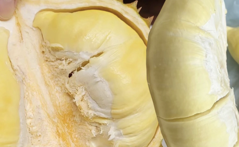 泰國GI榴槤創高值　春武里府奪冠