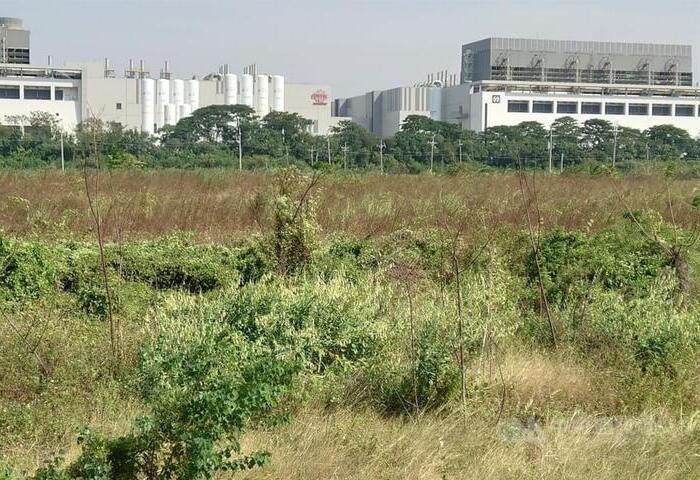 AI需求爆發大投資　台積電南科擴廠預計2028年完工