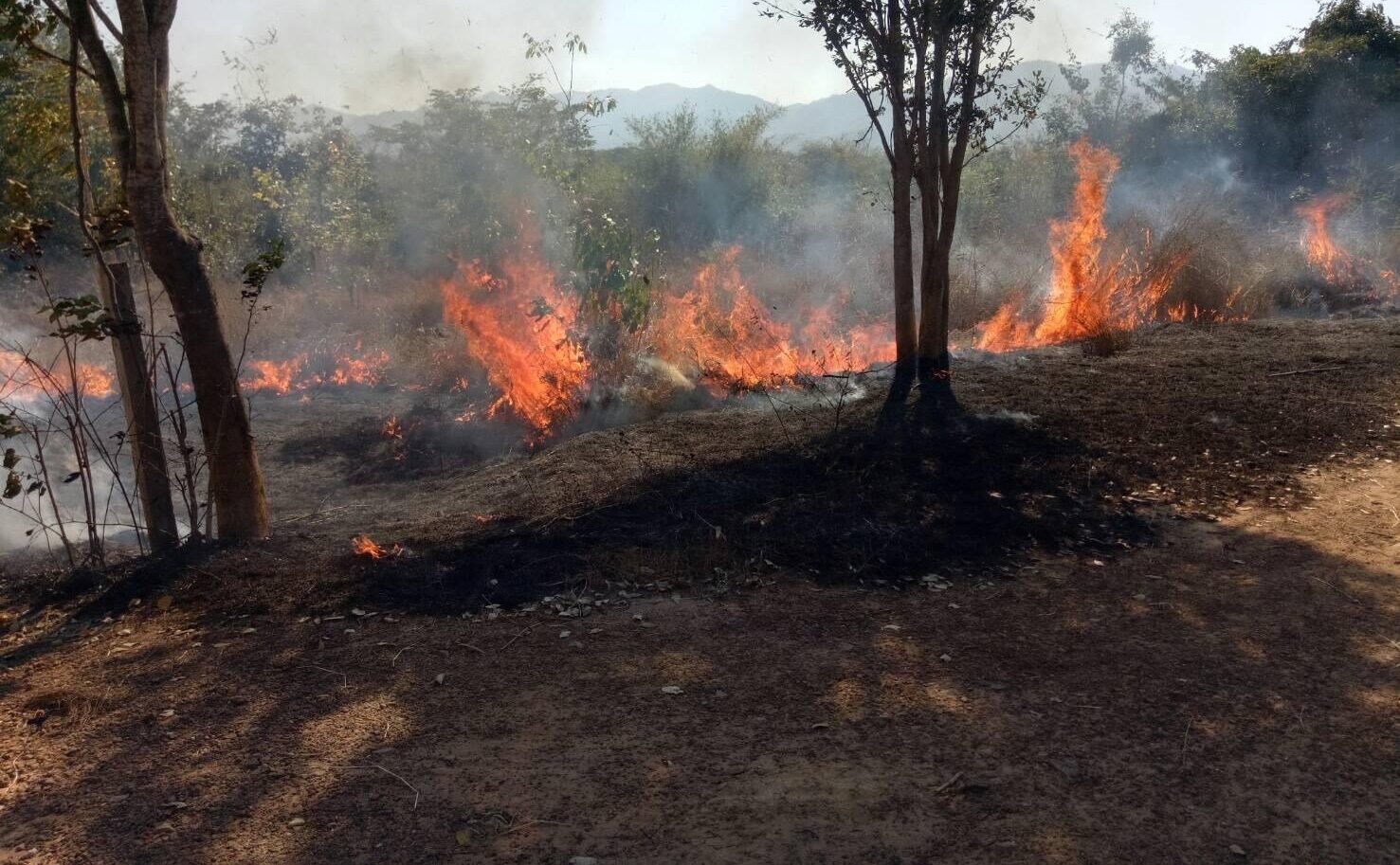 無人機拍到可疑車輛　警方追查疑似縱火者