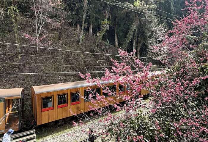 2026台灣燈會特色遊程　世界史詩級鐵道之旅 