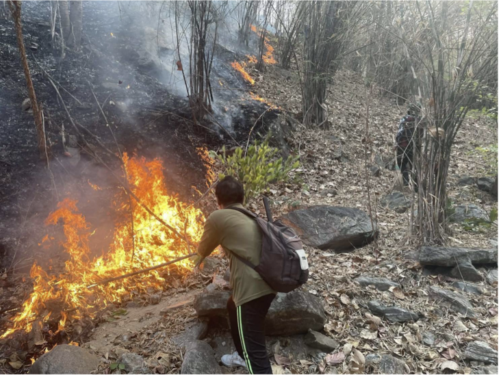 泰北PM2.5恐延燒至5月　醫界示警患者恐增加