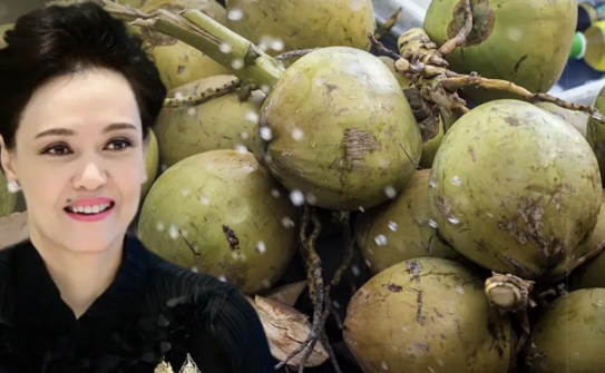 椰子收購商集體停購　商業部擬設中央收購點