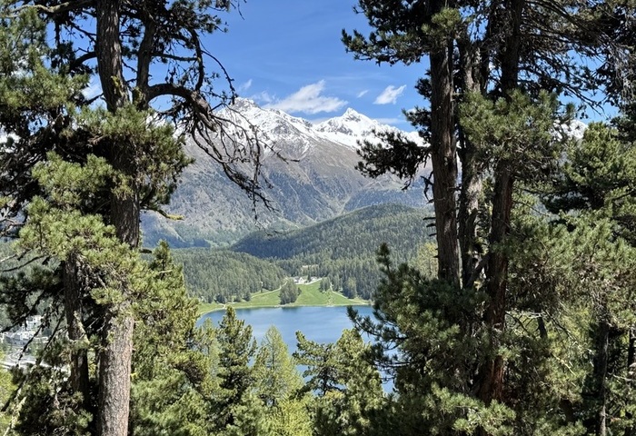 古老職業新面貌　瑞士獵人從生態管理到永續思維