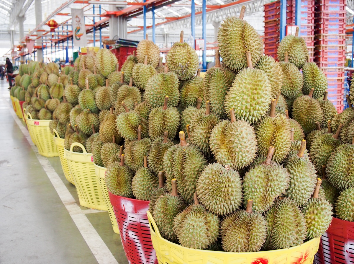 中國買家直採泰榴槤　中間商面臨挑戰