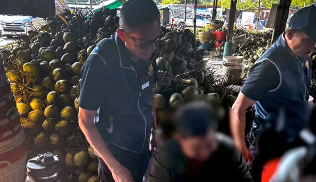 泰國掃蕩外資人頭企業　查8處椰子收購點