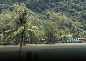 旅遊業支持文化觀光整併　籲企業稅降至15%以下