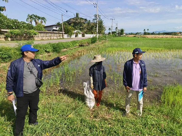 泰啟農戶社經調查　掌握農民收入債務