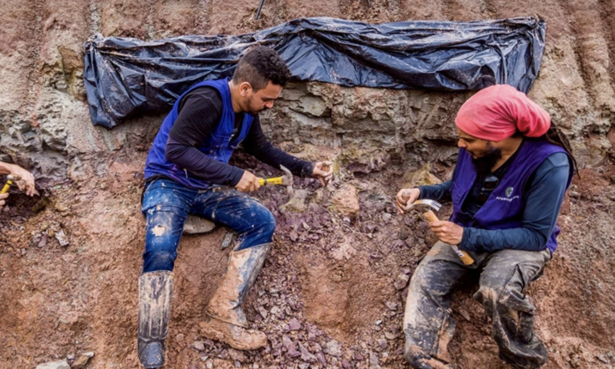 巴西發現新恐龍　揭遠古歐洲南美陸橋