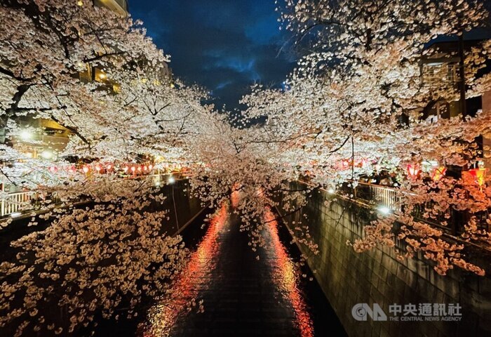 台韓人旅日大幅增加　分析：中國遊客銳減無災難性影響