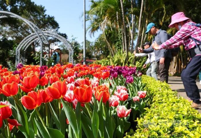 春分踏青賞花紓解肝氣　體弱者易生病應注重養生