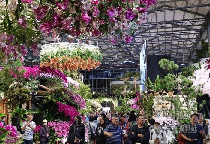 國際蘭展外銷訂單增3%　農業部估3到5年逾百億元