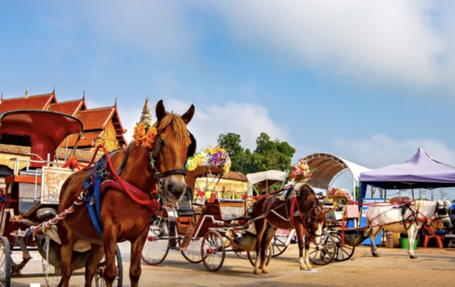 泰北高溫破40度　多地午後雷雨增強