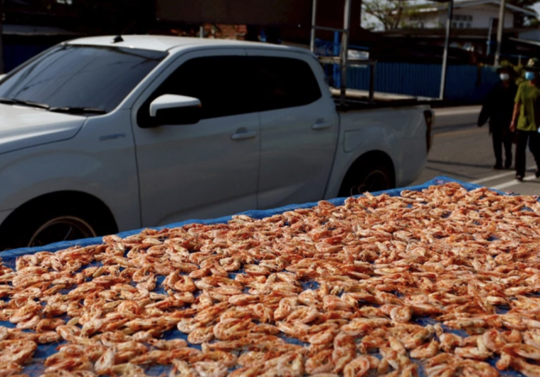 碧差汶煉油廠擴建惹議　環團憂衝擊候鳥棲地