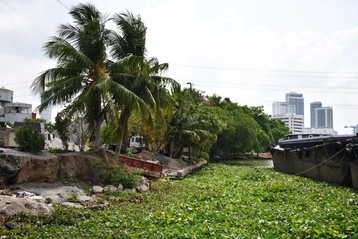 曼谷解鎖閒置地　打造2處城市綠地