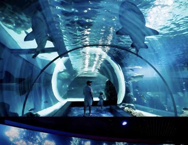 曼谷水族館夜間展登場　打造沉浸式海洋體驗