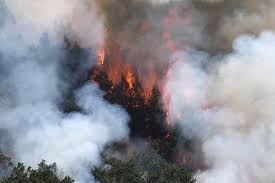 全球空污惡化　僅14%城市達安全標準