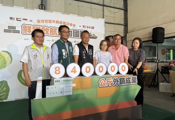 台灣甘藍外銷衝破840公噸　7國搶訂鮮甜好滋味
