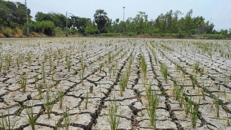 農業救助金上調　泰政府強化災害補償機制