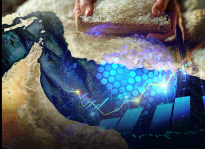 荷莫茲海峽受阻　泰米出口受創