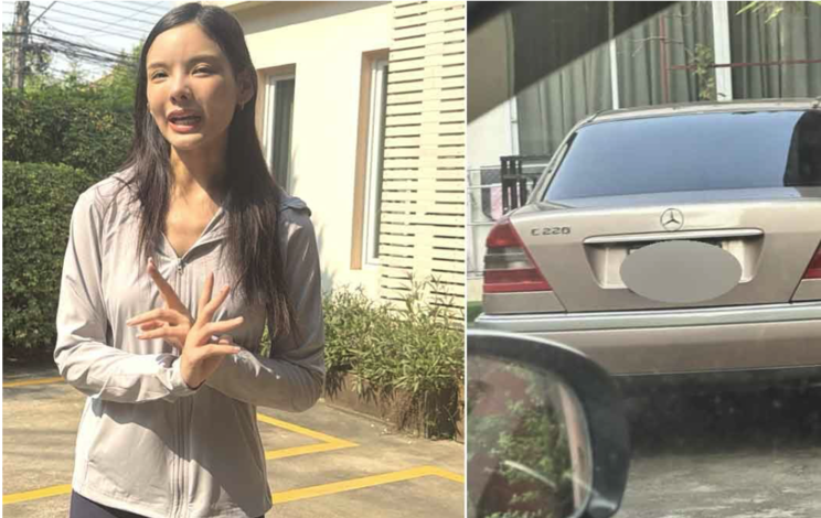 中國遊客誤停私地　屋主設限防再犯