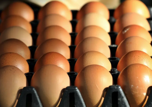 雞蛋價格再上調　每盤上漲6泰銖