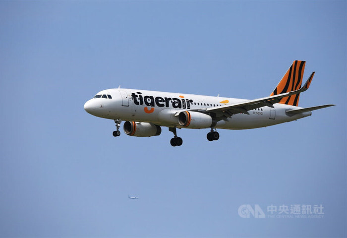 全台航空業首創　台灣虎航推Team Tiger訂閱制