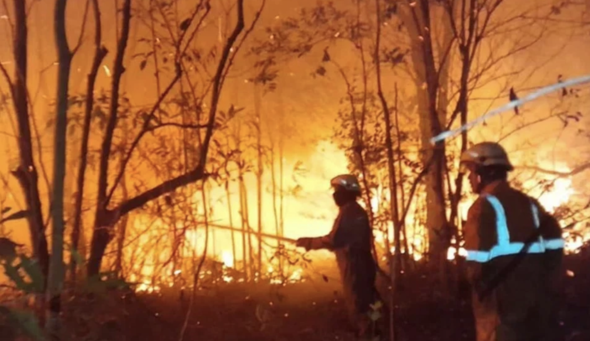 聖嬰現象恐再現　印尼野火擴散升高風險