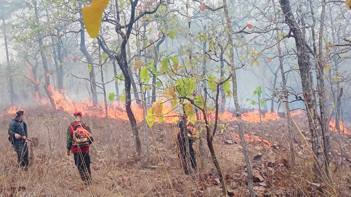 泰國熱點暴增　PM2.5污染惡化