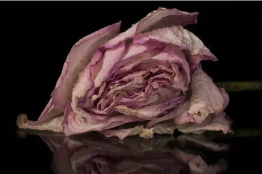  猝死風險不僅來自心臟　醫示警睡眠與腦部亦關鍵