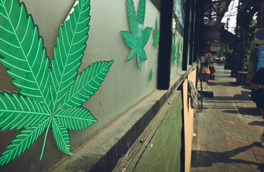 泰大麻店換照轉型  納入醫療管理體系