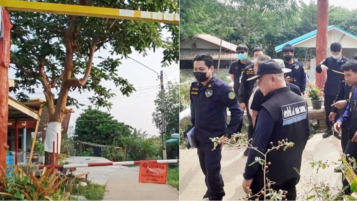 泰展開清林行動　拉廊府非法地權案擴大追查