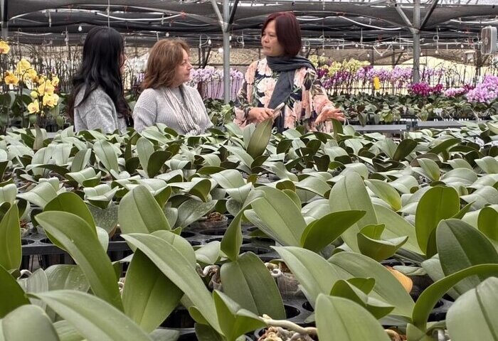 台美新經貿　蘭花業者籲思考貼近市場在地化生產