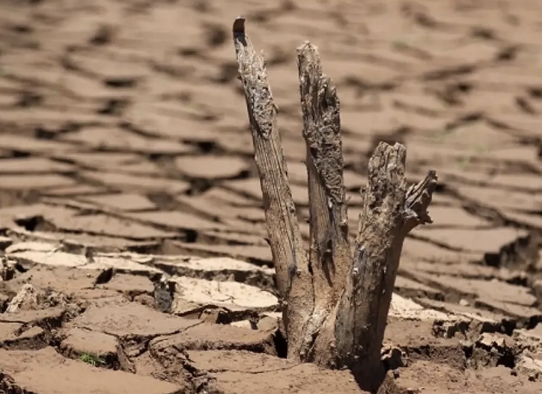 聖嬰現象升溫恐引乾旱　水庫水位逼近警戒