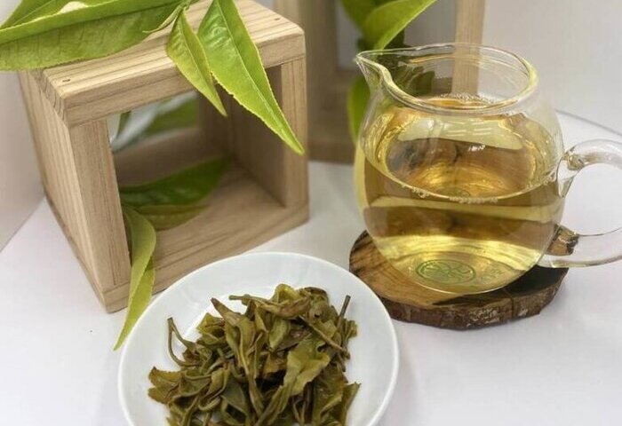 茶改場新品山蘊　成功轉化「茶界櫻花鉤吻鮭」