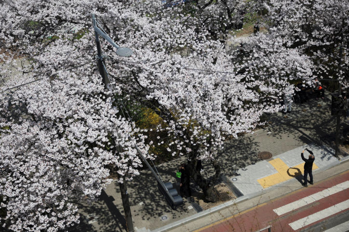油價飆升衝擊航班　南韓廉航縮減泰國航線