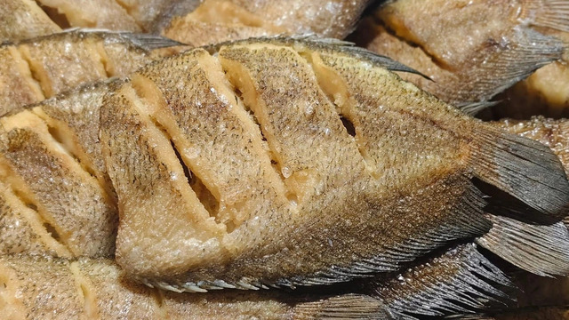 泰國GI再添新項　班佩鱧魚提升農產價值