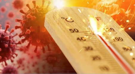 夏季疾病來襲　7大風險一次看