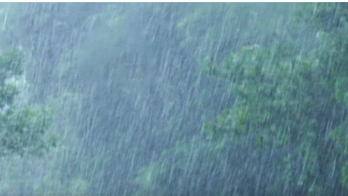 泰國54府發布豪雨警報　防範山洪與突發淹水