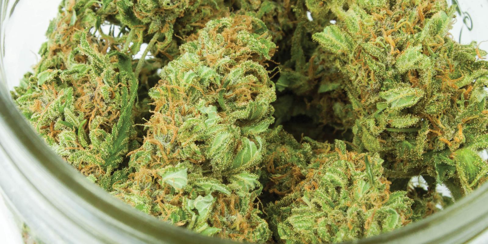 泰醫療大麻收緊　販售資格限縮