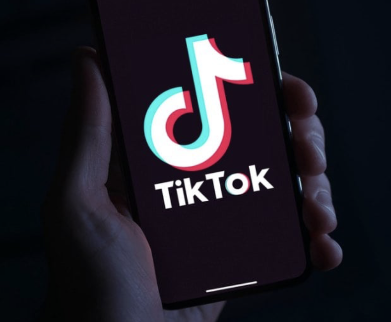 泰與TikTok推教材　遭疑短影音傷專注