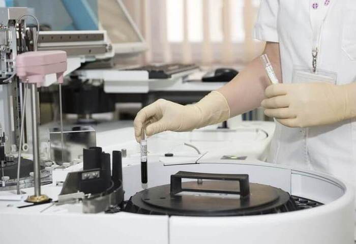 醫：慢性白血病症狀不明顯　抽血報告揪異常成診療關鍵