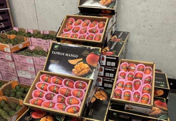 台灣芒果讓韓星驚豔、法國貴婦瘋搶　專家提醒用藥者慎食