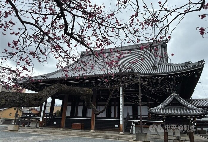 調查：95%亞太旅客不畏成本增　台灣出遊信心居冠