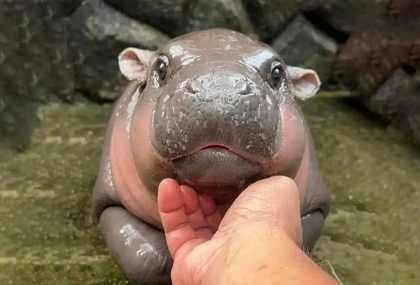 生活