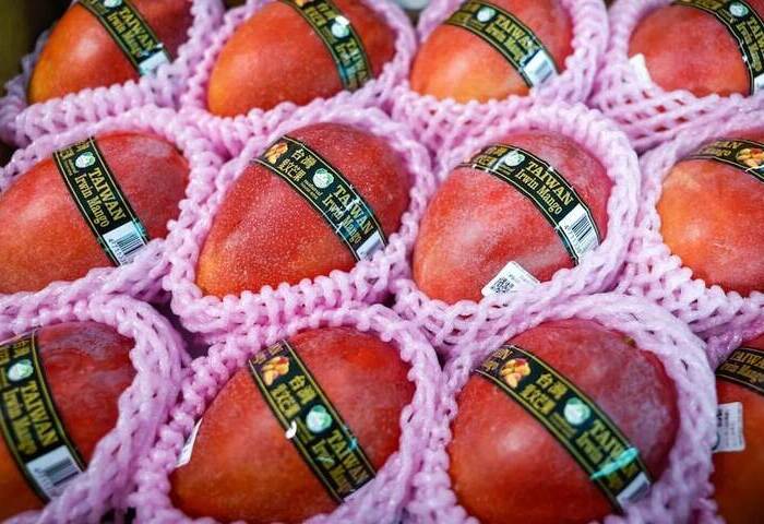 台灣頂級芒果首度進軍歐洲　業者對芒果界LV有信心