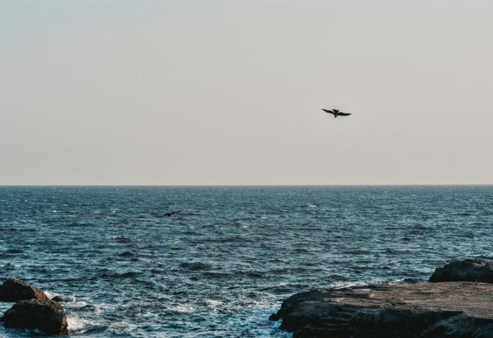 日本將開發海巡無人船　盼加強海域警戒監視