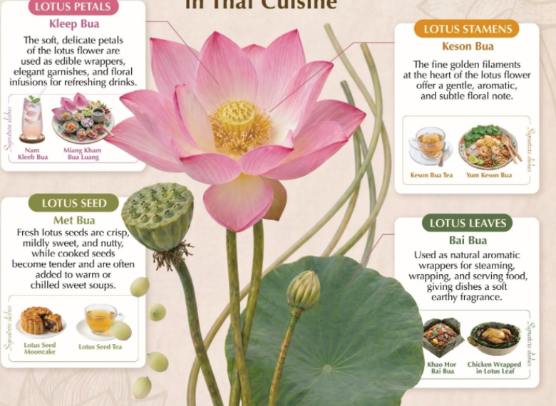 蓮花全株皆可食　泰國料理巧入菜