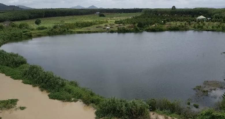 泰國28府防豪雨洪災　大型水庫水位受關注