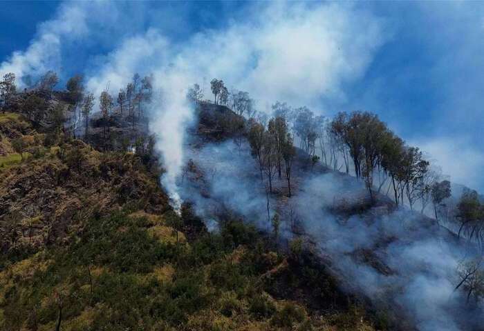 印尼婆羅摩火山野火延燒　國家公園關閉觀光活動